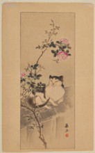 Cat on a roof underneath a rose bush. Creator: Yokoyama, Kazan (1784-1837).