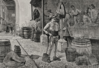 The grape harvest in Jerez, Andalusia, Spain, 1898.  Creator: Arturo Carretero y Sánchez.