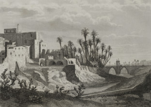 Elche, Alicante province, Spain, 1853.  Creator: Antonio Roca Sallent.
