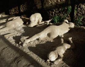Fossilised corpses found in the Garden of the Fugitives, Pompeii, Campania, Italy, 2008. Creator: LTL.