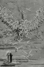 The Divine Comedy, (1307-1321): The Paradise, 1888.  Creator: Jean Edouard Dargent.