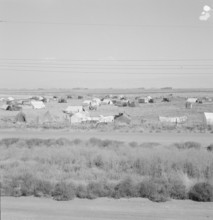 Untitled, between 1935 and 1942. Creator: Dorothea Lange.
