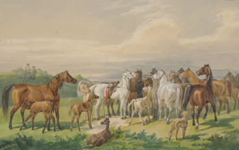 A saddled military horse returns to its wild herd, 19th century. Creator: Johann Erdmann Gottlieb Prestel.