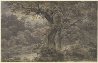 Oak trees in the forest, 19th century. Creator: Johann Wilhelm Schirmer.