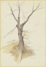 Leafless tree, 1846. Creator: Stephan Rauh.