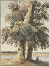 Two trees on the river, 1833. Creator: Ludwig Daniel Philipp Schmidt.