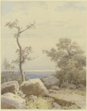 Bare tree among stone blocks, 1880. Creator: Carl Theodor Reiffenstein.