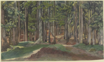Inside a forest, 19th century. Creator: Theodor Alt.