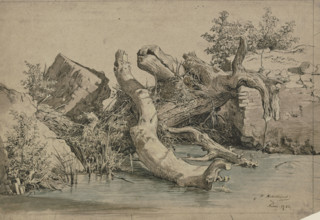 Fallen tree by a stream, 1856. Creator: Johann Heinrich Hasselhorst.