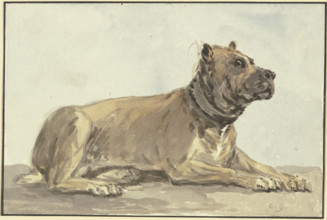 Reclining Great Dane, head raised, 18th century. Creator: Conrad Gesner.