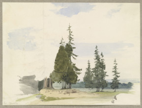Conifers in a plain near Ilsenburg in the Harz Mountains, c1844. Creator: Carl Theodor Reiffenstein.