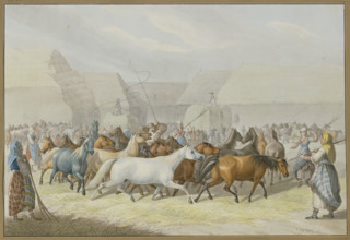 Depiction of threshing with horses in Syrmia (Slavonia), 1832. Creator: Johann Erdmann Gottlieb Prestel.