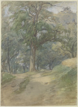 Sunny forest path, 1862. Creator: Jakob Dielmann.