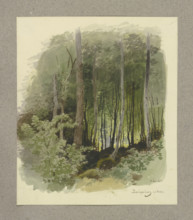 Forest near Zwingenberg on the Neckar River, 1850. Creator: Carl Theodor Reiffenstein.