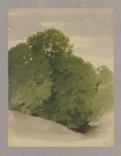Thicket, 1856. Creator: Carl Theodor Reiffenstein.