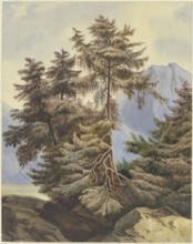 Three fir trees in the mountains, 1833. Creator: Ludwig Daniel Philipp Schmidt.