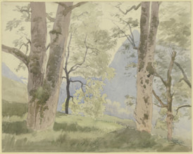 Black Forest landscape: view from the edge of the forest to the mountains, 1862. Creator: Hans Thoma.
