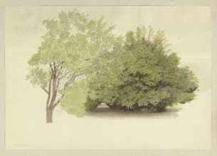 On the left, a tree; on the right, tall shrubbery, 1875. Creator: Carl Theodor Reiffenstein.