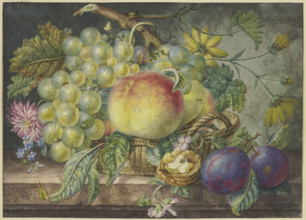 Fruit scene, a basket with grapes and peaches, including a nut and two plums. Creator: Oswald Wijnen.