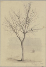 Leafless tree with birds, 1860. Creator: Hans Thoma.