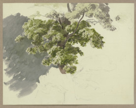 Tree in the wind, c1840-1890. Creator: Carl Theodor Reiffenstein.