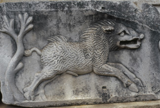 Fragment of a Roman relief with depiction of a wild boar, Museum of Miletus, Turkey, 1999.  Creator: LTL.