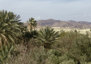The Oasis of Palmyra, Syria, 1999.  Creator: LTL.