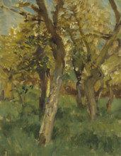 Study of blossoming trees in an orchard, 1891. Creator: George Clausen.