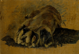 Oil sketch of a lion's paw, c1820s. Creator: John Frederick Lewis.