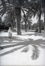 Parc Lyautey, Casablanca, Morocco, c1955. Creator: Arthur Charles Kirby Ware.