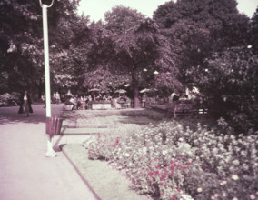 Temple Gardens, London, c1955. Creator: Arthur Charles Kirby Ware.