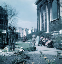 Daffodils in St Paul's Cathedral Churchyard, London, c1955. Creator: Arthur Charles Kirby Ware.