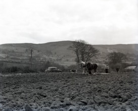 Ploughing, Wales, c1955. Creator: Arthur Charles Kirby Ware.