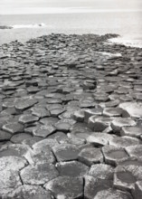 Giant's Causeway, County Antrim, Northern Ireland, c1955. Creator: Arthur Charles Kirby Ware.