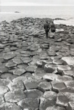 Giant's Causeway, County Antrim, Northern Ireland, c1955. Creator: Arthur Charles Kirby Ware.