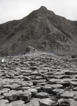 Giant's Causeway, County Antrim, Northern Ireland, c1955. Creator: Arthur Charles Kirby Ware.