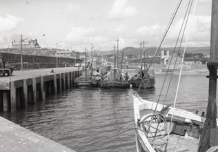 Prawn drifters, Kilkeel Harbour, County Down, Northern Ireland, c1955. Creator: Arthur Charles Kirby Ware.