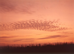 Sunset near Tonbridge, c1955. Creator: Arthur Charles Kirby Ware.