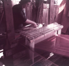 Weaving velvet for the coronation robe, Braintree, Essex, c1953.  Creator: Arthur Charles Kirby Ware.