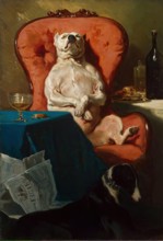 Pug Dog in an Armchair, 1857. Creator: Alfred Dedreux.