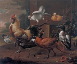 Poultry-yard, 1650. Creator: Melchior d'Hondecoeter.