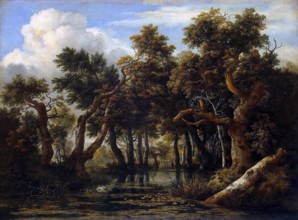 A Wooded Marsh, 1665. Creator: Jacob van Ruisdael.