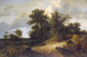 Landscape with a House in the Grove, 1646. Creator: Jacob van Ruisdael.