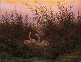 Swans in the reeds at the first dawn, 1832. Creator: Caspar David Friedrich.
