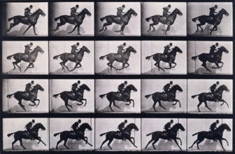 Gallop, 1872-1885.   Creator: Eadweard J Muybridge.