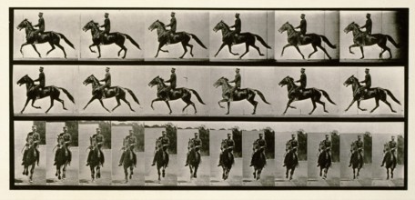 Racking (pacing), 1872-1885.  Creator: Eadweard J Muybridge.