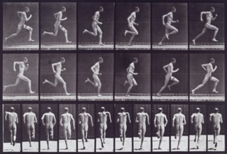 Running at full speed, 1872-1885.  Creator: Eadweard J Muybridge.