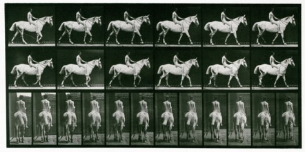 Walking, 1872-1885.  Creator: Eadweard J Muybridge.
