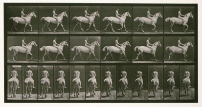 Trotting, 1872-1885.  Creator: Eadweard J Muybridge.