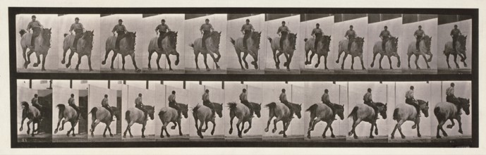 Gallop, 1872-1885.  Creator: Eadweard J Muybridge.